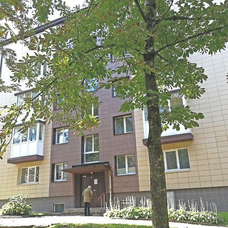 Siauliai Central Spot Apartment - Draugystes Pr. Buitenkant foto